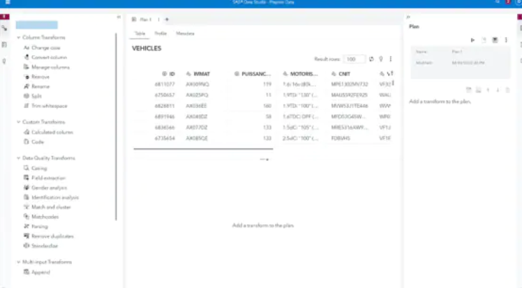 screenshot of SAS Data Management